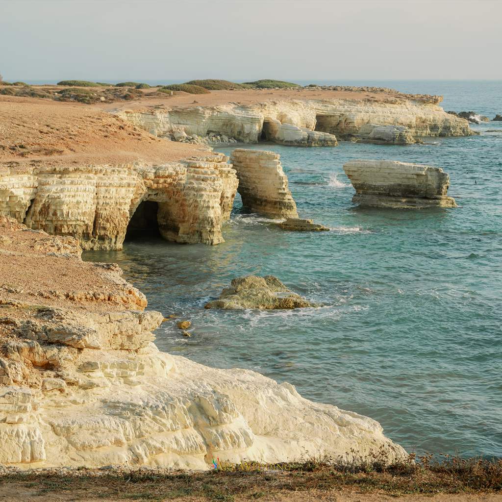 Wedding at the Red Cliffs — Art Wedding