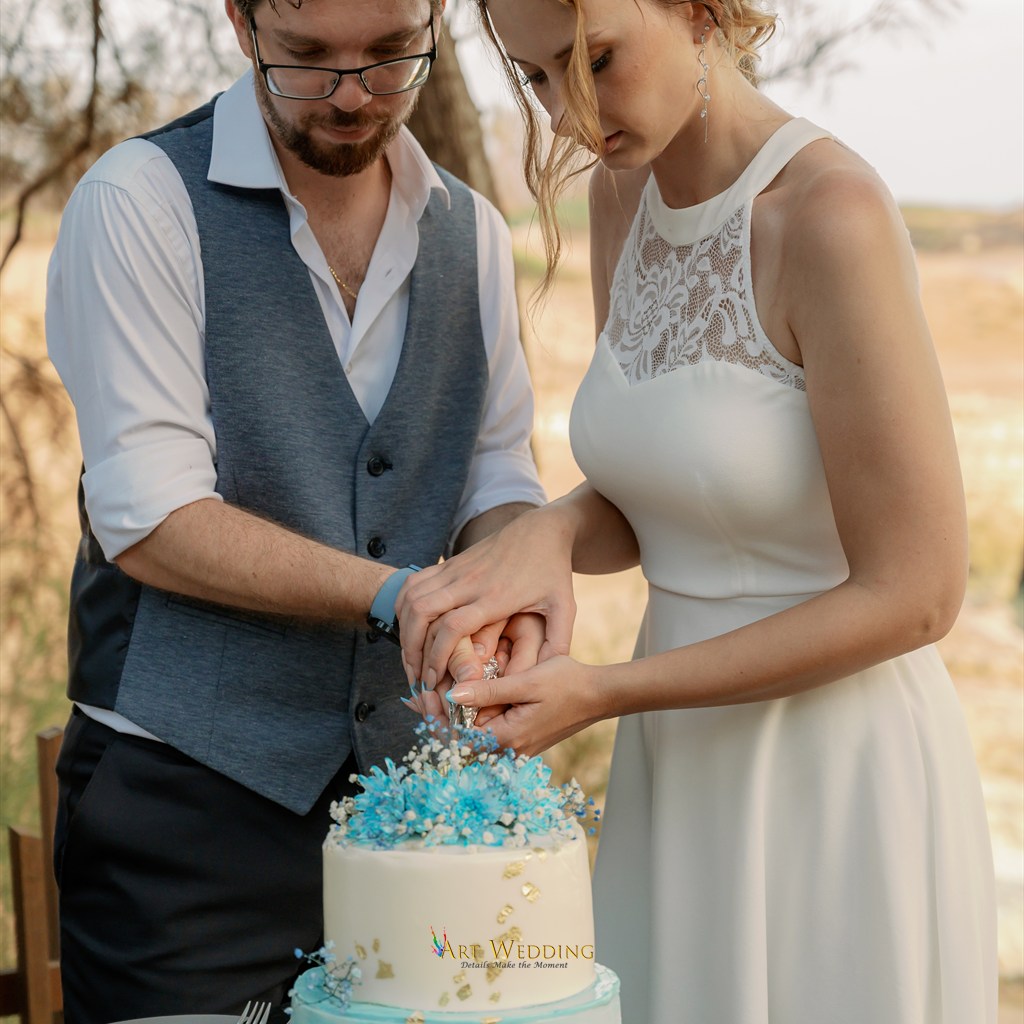 Newlyweds cut a wedding cake decorated with blue flowers